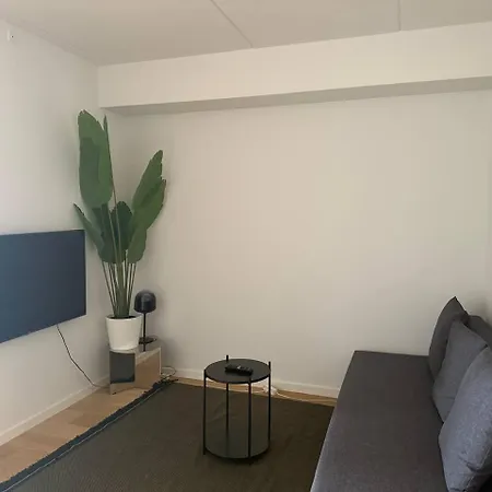 Exclusive New Close To Center Apartment *